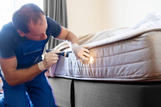 Best Bed Bug Extermination  in Osakis, MN